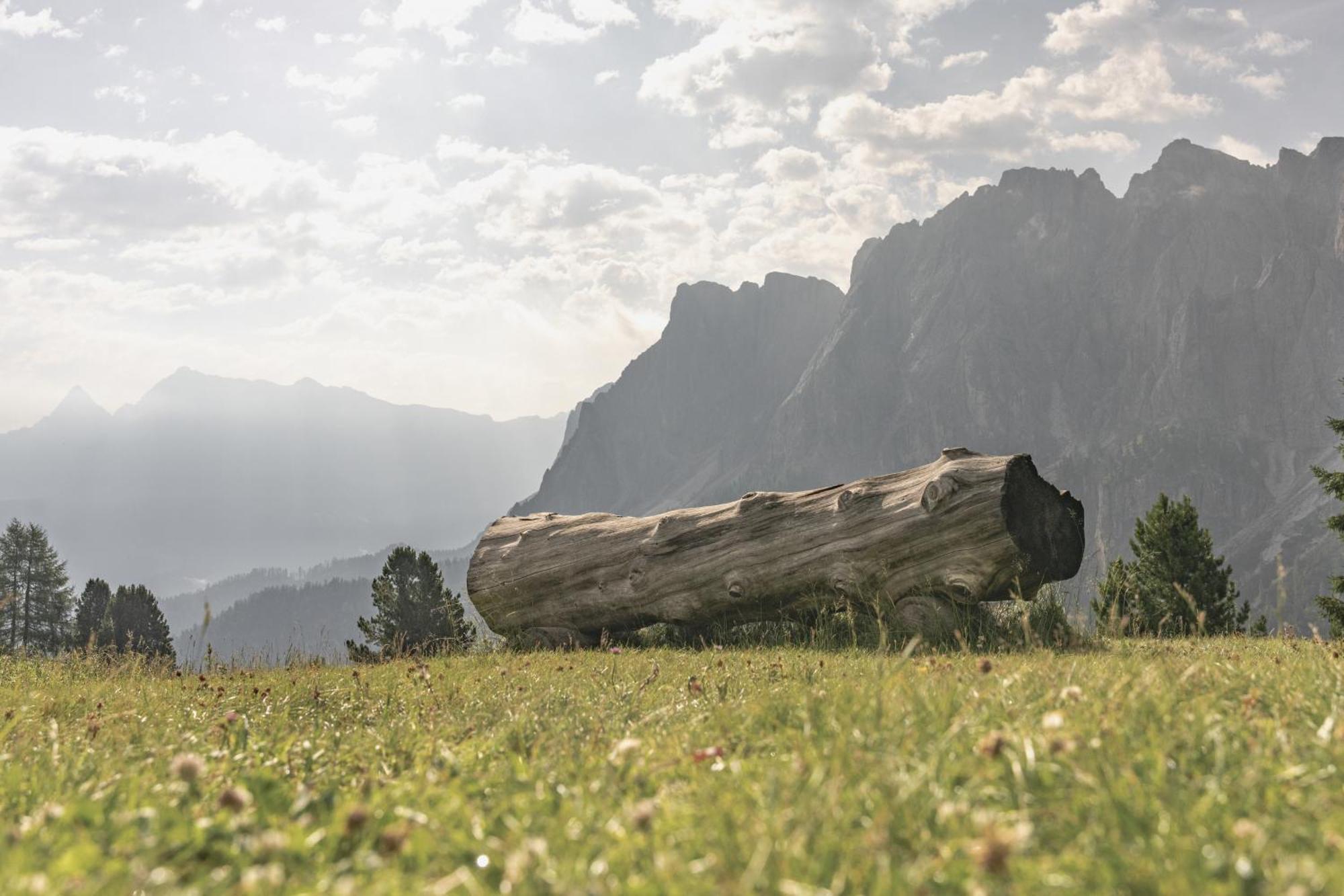 Ciasa Iachin - Dolomites Dream Retreat Apartment San Martino in Badia Luaran gambar