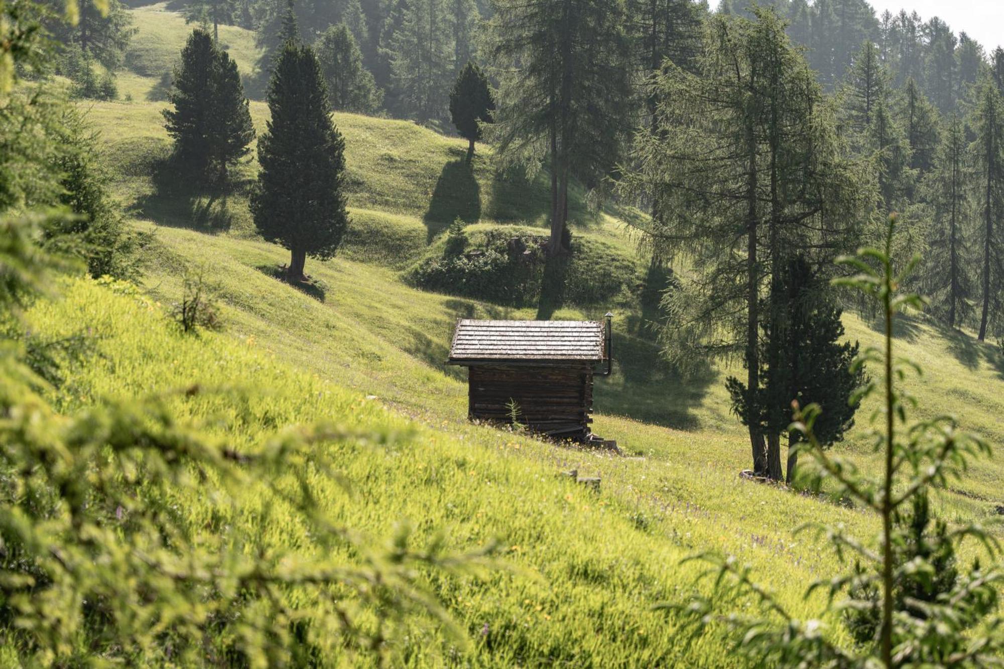Ciasa Iachin - Dolomites Dream Retreat Apartment San Martino in Badia Luaran gambar