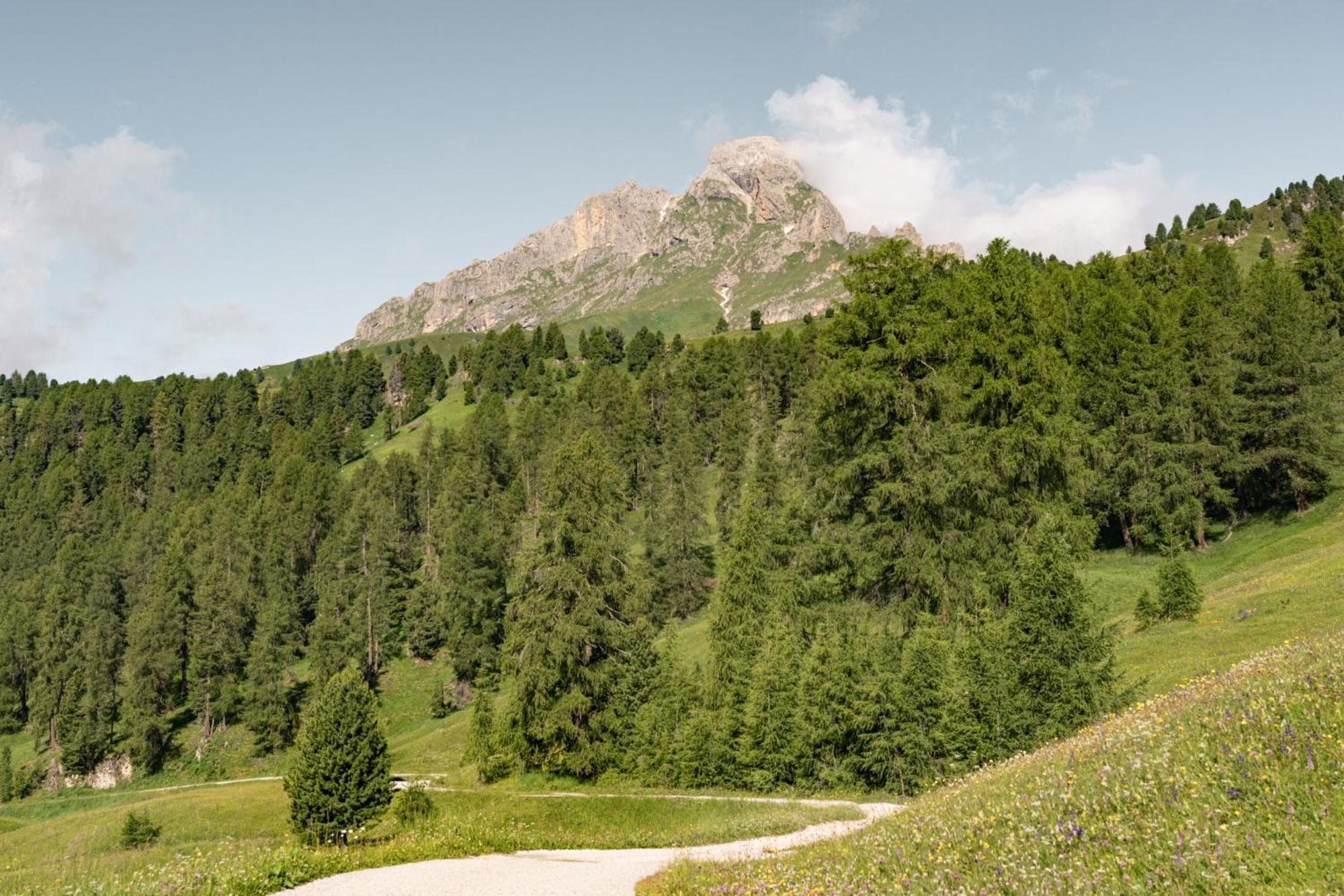 Ciasa Iachin - Dolomites Dream Retreat Apartment San Martino in Badia Luaran gambar