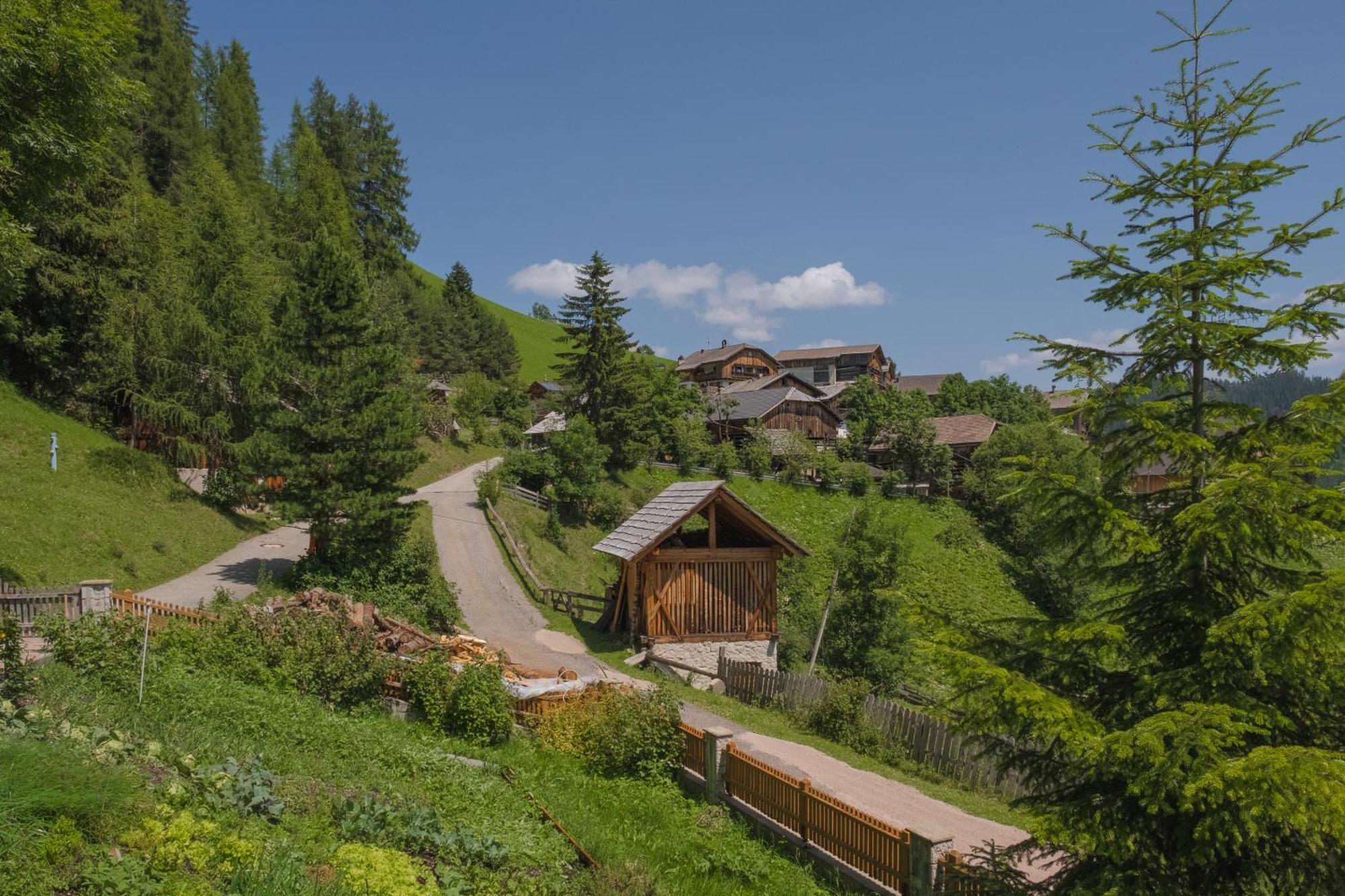 Ciasa Iachin - Dolomites Dream Retreat Apartment San Martino in Badia Luaran gambar