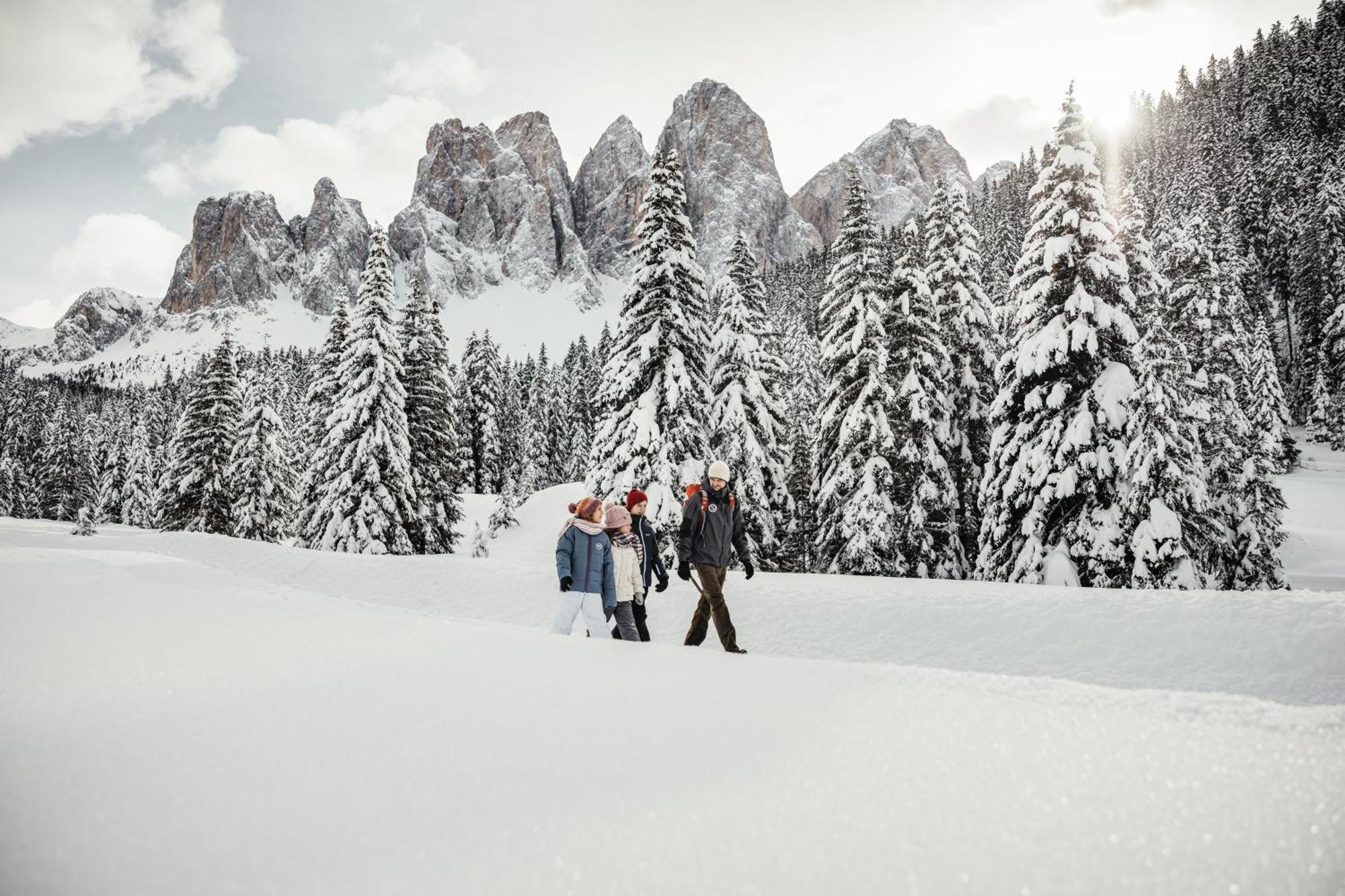 Ciasa Iachin - Dolomites Dream Retreat Apartment San Martino in Badia Luaran gambar