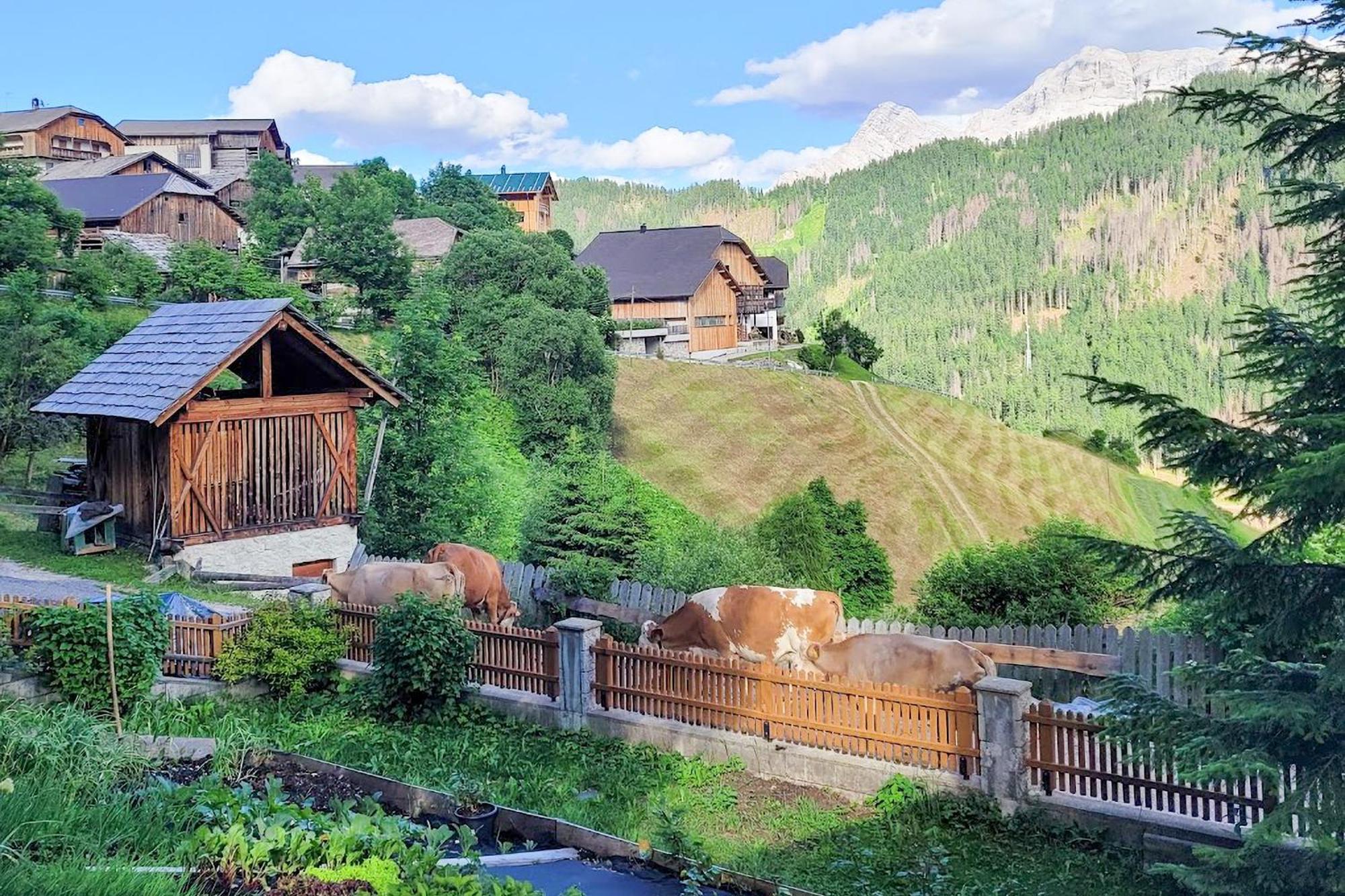Ciasa Iachin - Dolomites Dream Retreat Apartment San Martino in Badia Luaran gambar