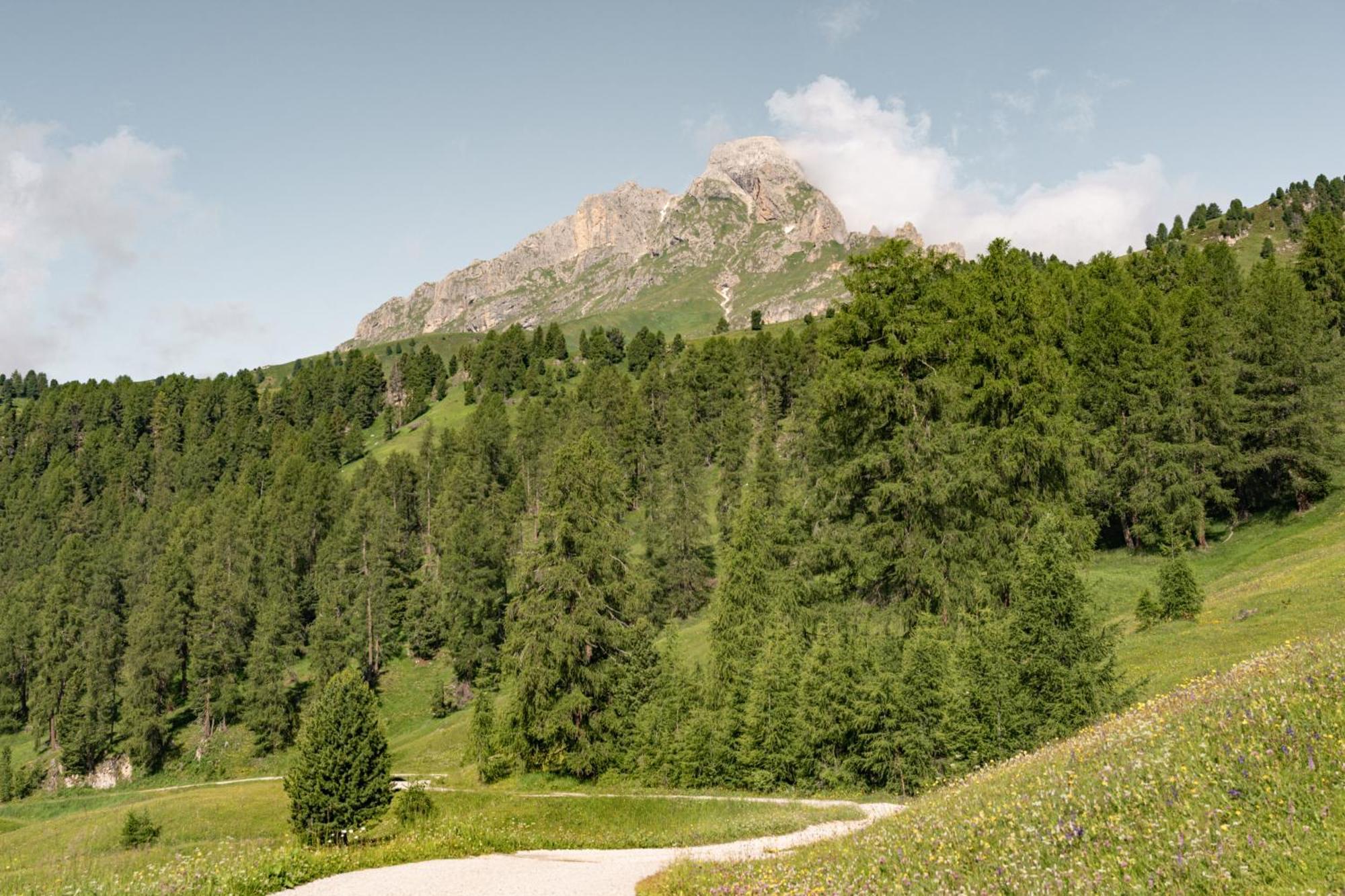 Ciasa Iachin - Dolomites Dream Retreat Apartment San Martino in Badia Luaran gambar