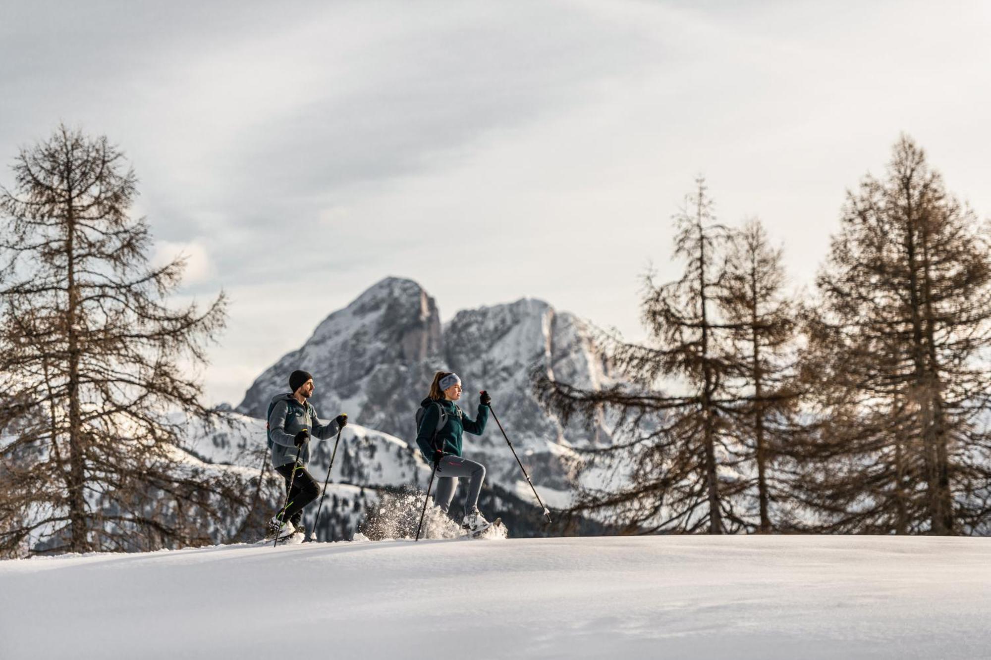 Ciasa Iachin - Dolomites Dream Retreat Apartment San Martino in Badia Luaran gambar