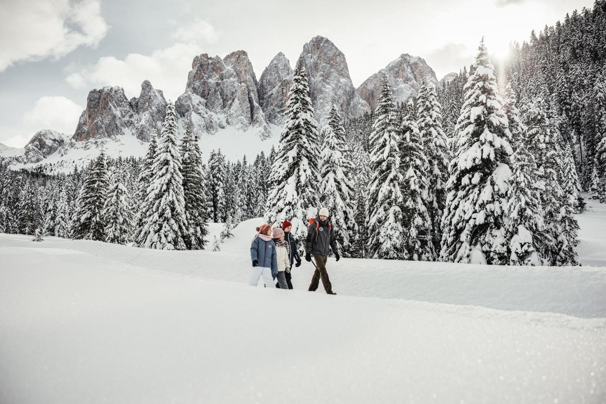Ciasa Iachin - Dolomites Dream Retreat Apartment San Martino in Badia Luaran gambar